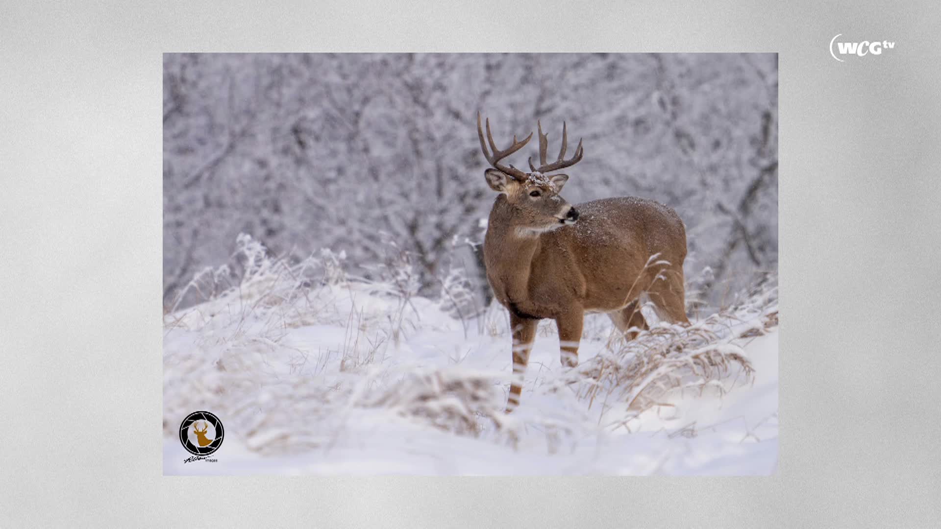 Thumbnail image for Behind the Camera_E2_Rustam Dow_Feb 22_2026