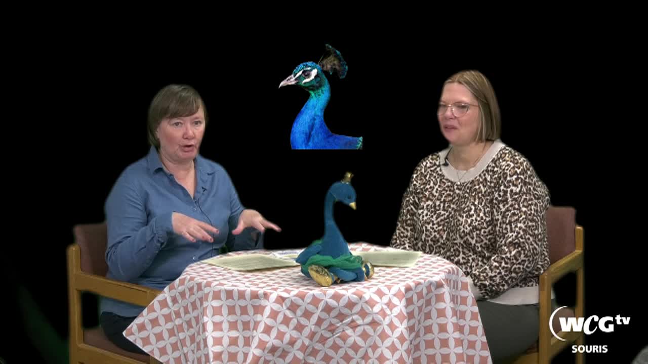 Thumbnail image for Sour-sos-Chamber-March 5 2026