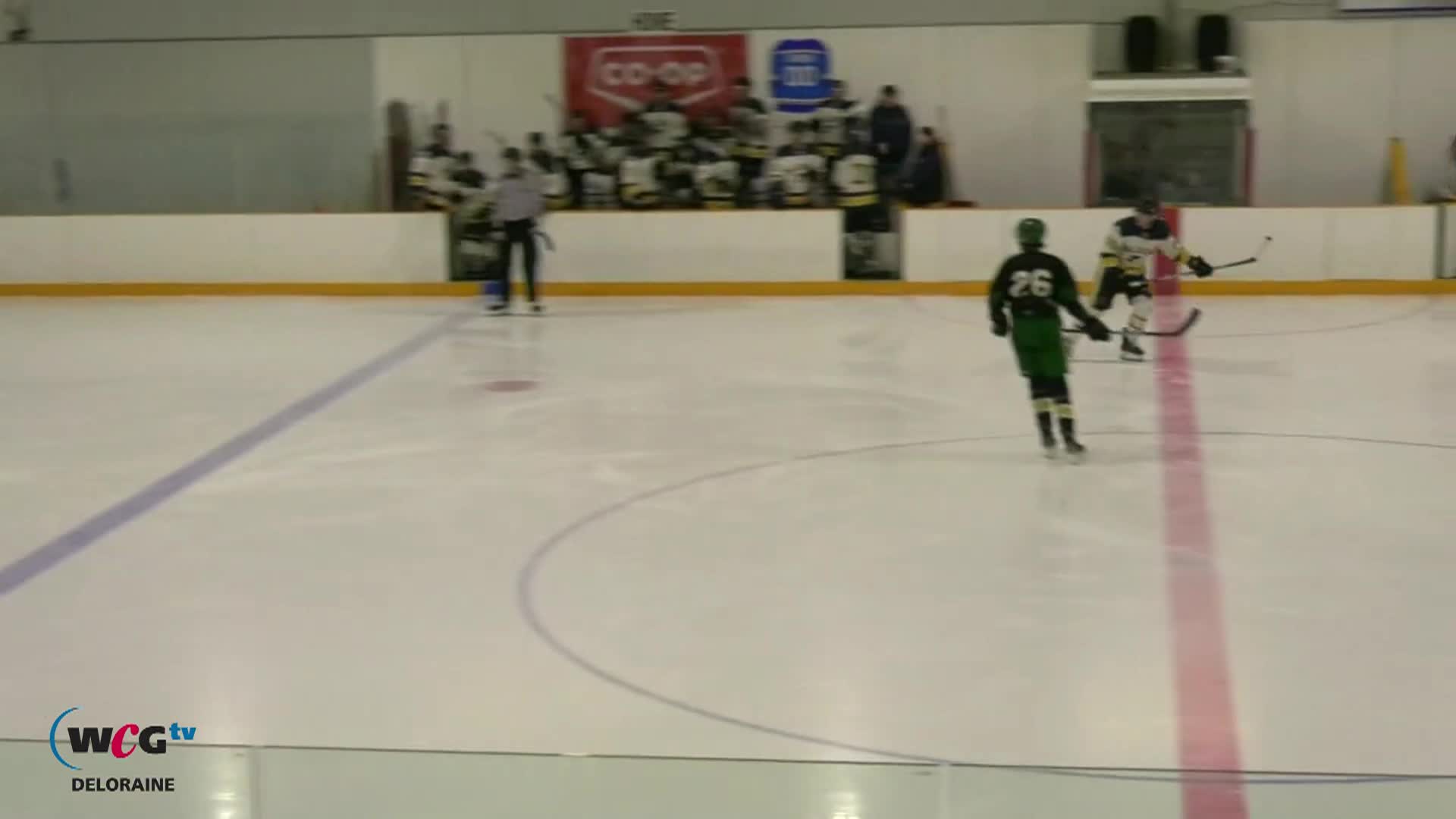 Thumbnail image for THHL Kilarney Shamerocks VS Hartney Blues  March 23nd 2026