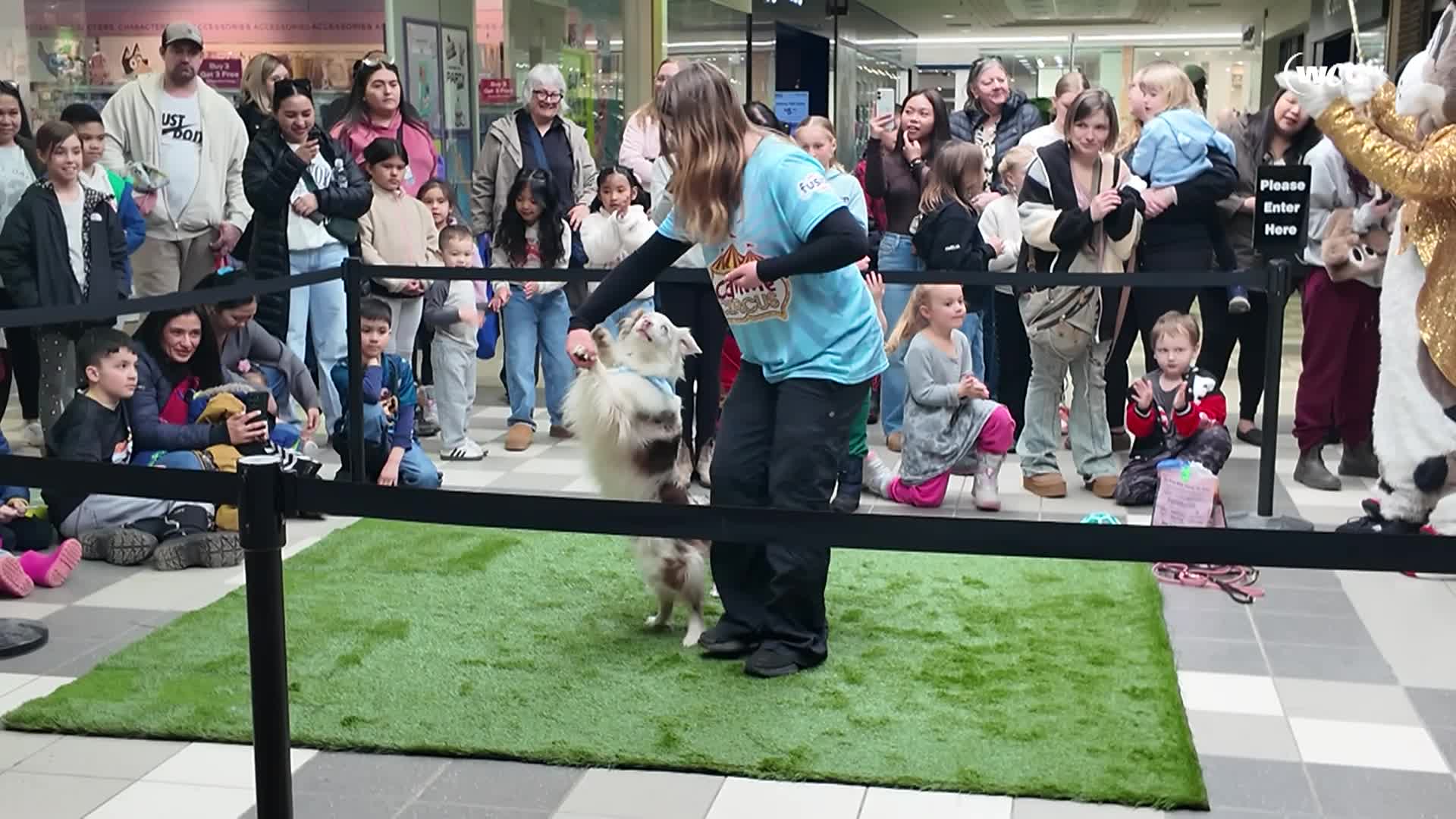 Thumbnail image for Paws And Tricks Filler_Mar 29_2026