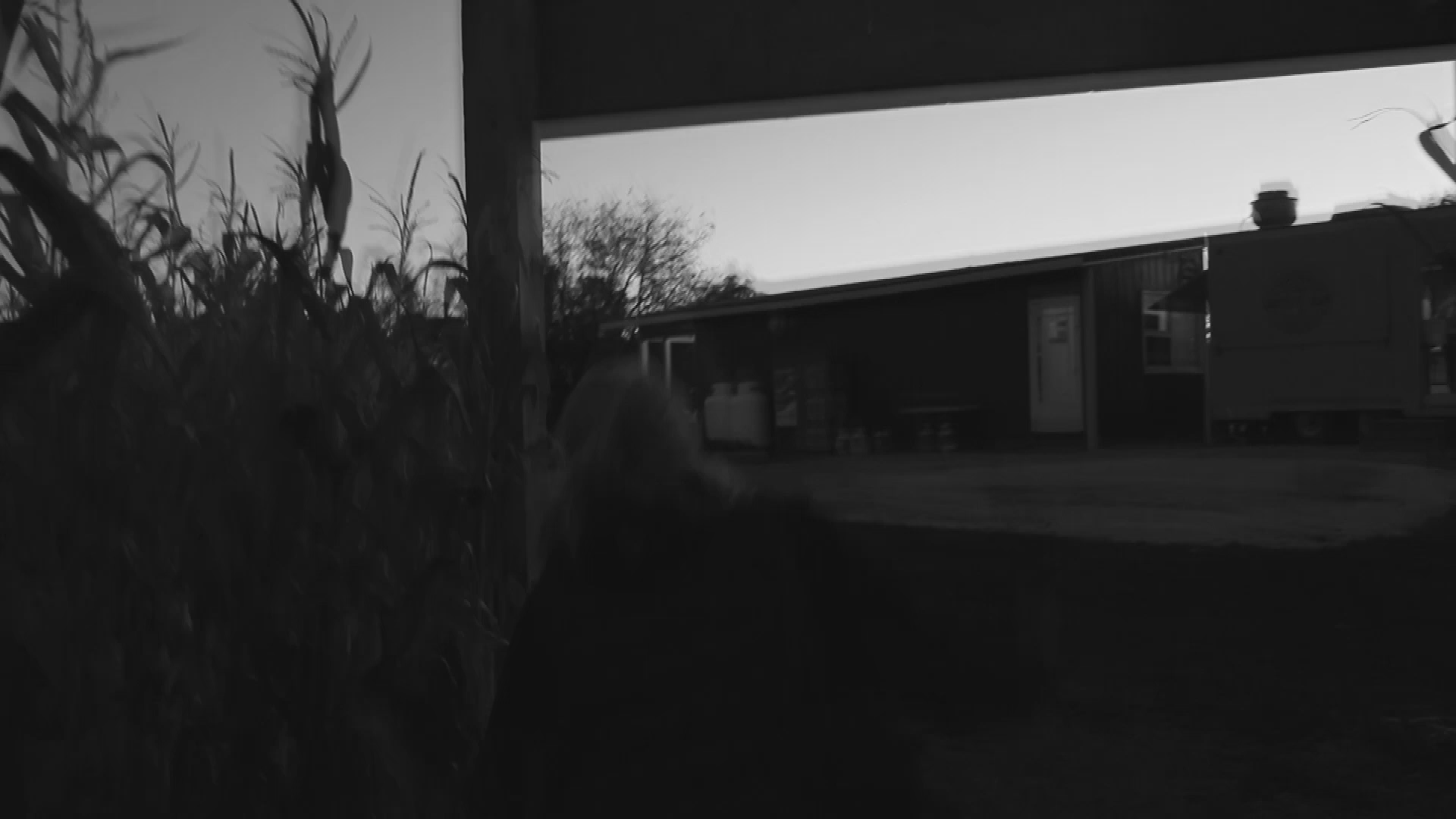 Thumbnail image for FastTrackFilms-CharliLapses2018-07-29-