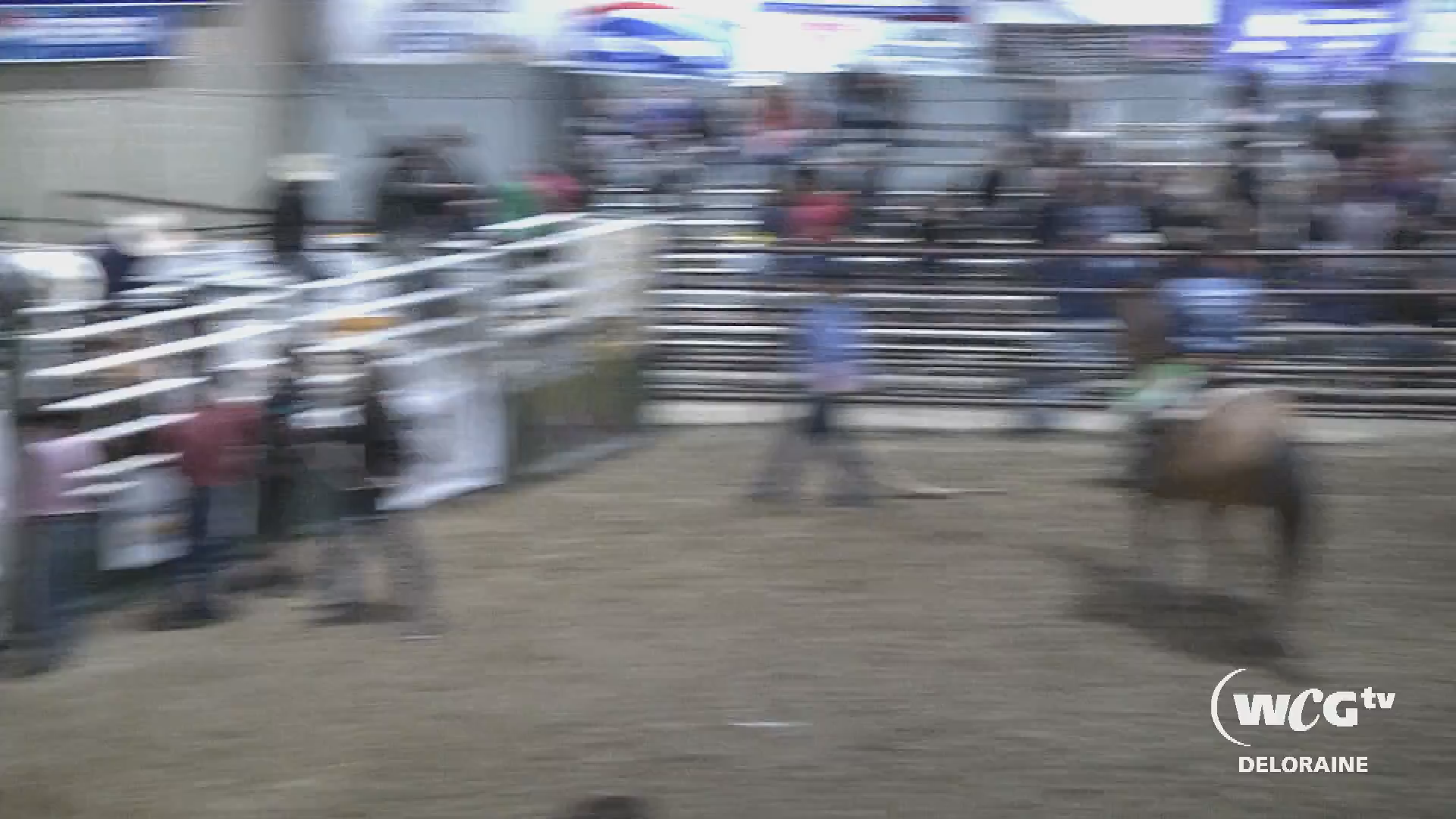 Thumbnail image for Delo - Killarney Rippin Roarin Bull Riding May 4th 2019