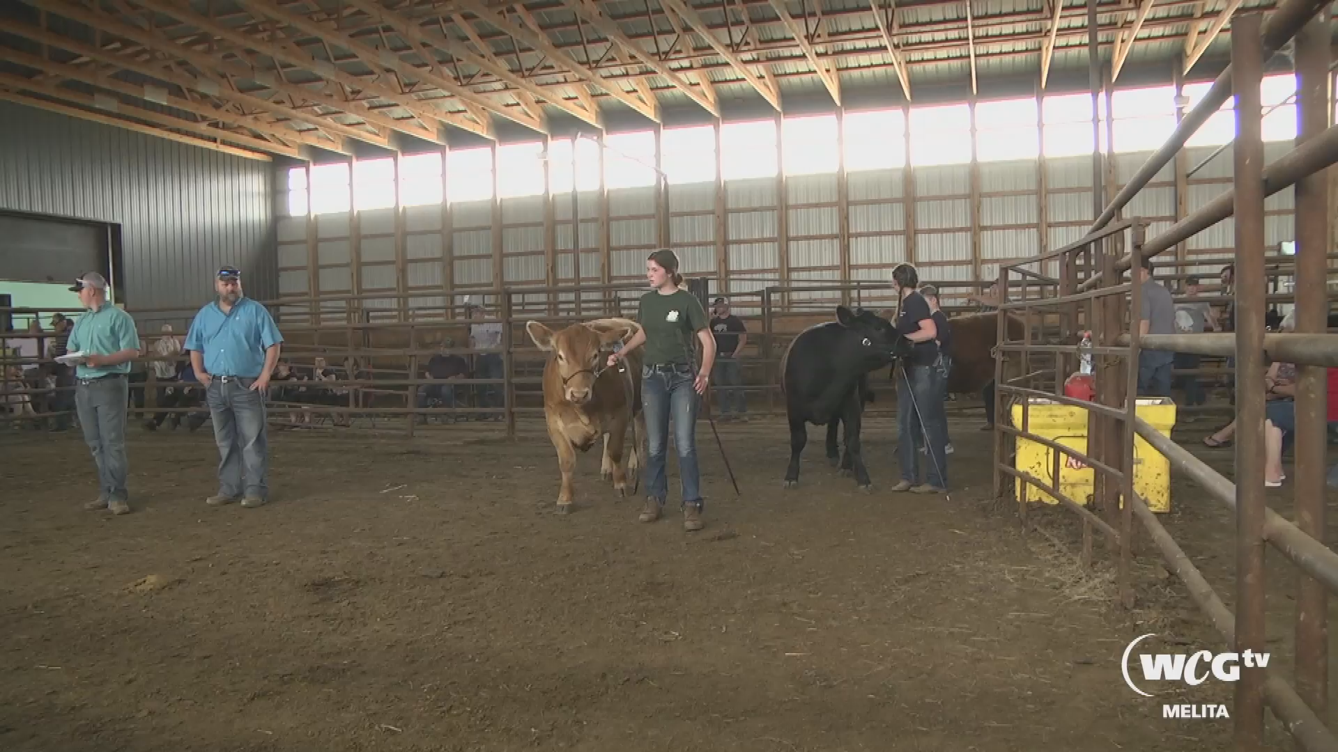 Thumbnail image for Melita Tilston 4H Beef Club Rally and Sale June 3 2019