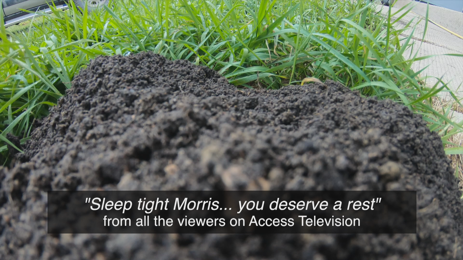 Thumbnail image for Birt - Filler - Do It In The Dirt!