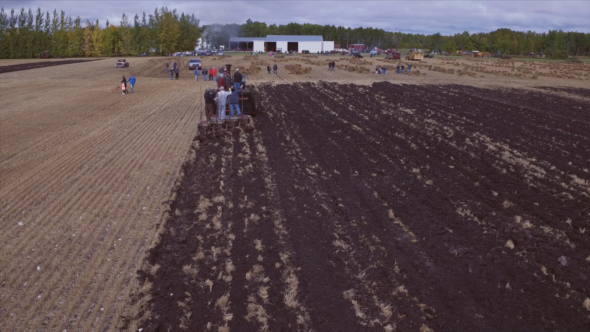 Thumbnail image for Birt - Filler - Full Steam Ahead